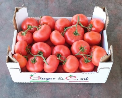 Foto Grappolo Origine Italia Marchio Giugno  1